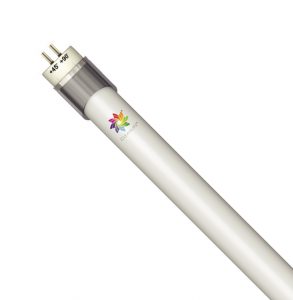 T5Tube